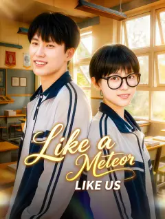 Like a Meteor, Like Us poster