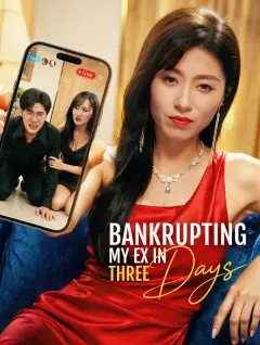 Bankrupting My Ex in Three Days poster