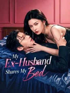 My Ex-Husband Shares My Bed poster