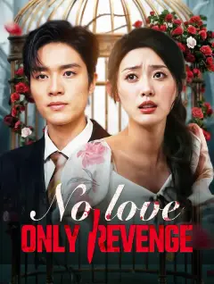 No Love, Only Revenge poster