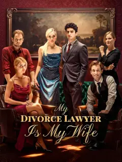 My Divorce Lawyer Is My Wife poster