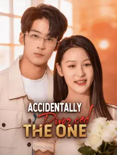Accidentally Divorced the One poster