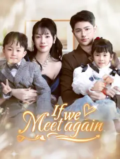 If We Meet Again poster