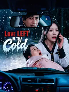 Love Left in the Cold poster
