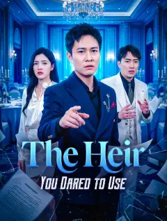 The Heir You Dared to Use poster