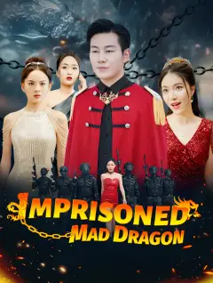 The Imprisoned Mad Dragon poster