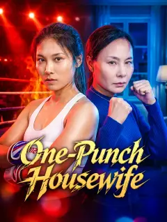 One-Punch Housewife poster