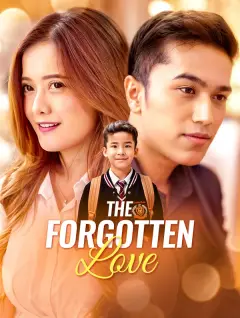 The Forgotten Love poster