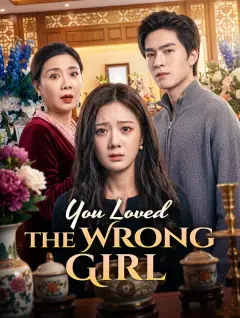 You Loved the Wrong Girl poster
