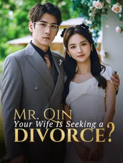 Mr. Qin, Your Wife Is Seeking a Divorce? poster