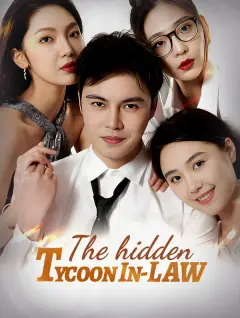The Hidden Tycoon In-Law poster