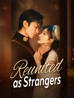 Reunited as Strangers poster