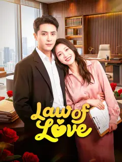 Law of Love poster