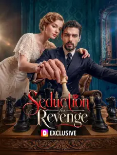 Seduction for Revenge poster