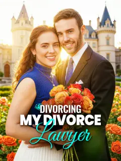 Divorcing My Divorce Lawyer poster