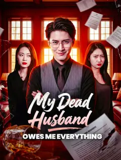 My Dead Husband Owes Me Everything poster