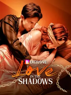 Love in the Shadows poster