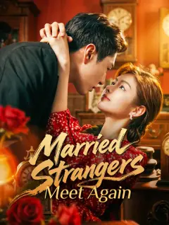 Married Strangers Meet Again poster