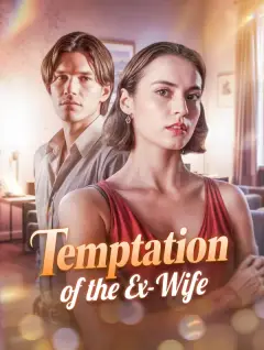 Temptation of the Ex-Wife poster