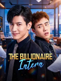 The Billionaire Intern poster