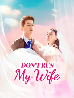 Don't Run, My Wife poster