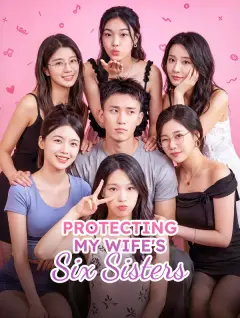 Protecting My Wife's Six Sisters poster