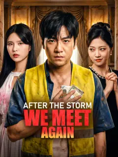 After the Storm, We Meet Again poster