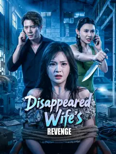 Disappeared Wife's Revenge poster