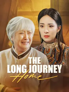 The Long Journey Home poster