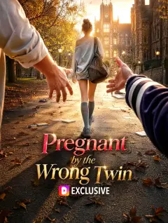 Pregnant by the Wrong Twin poster