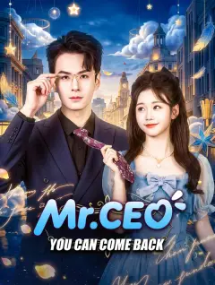 Mr. CEO, You Can Come Back poster