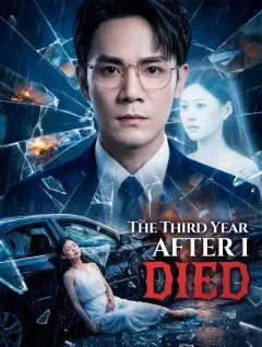 The Third Year After I Died poster