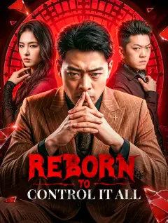 Reborn to Control It All poster