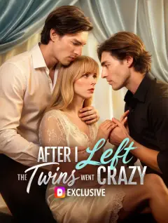 After I Left, the Twins Went Crazy poster