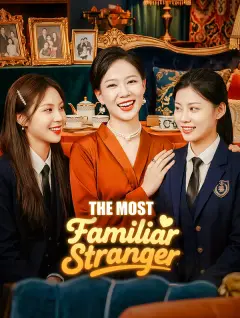 The Most Familiar Stranger poster