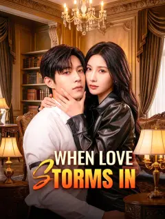 When Love Storms In poster