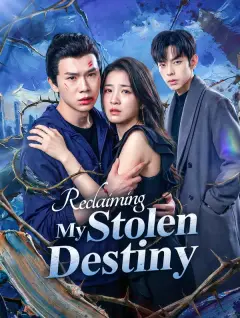 Reclaiming My Stolen Destiny poster