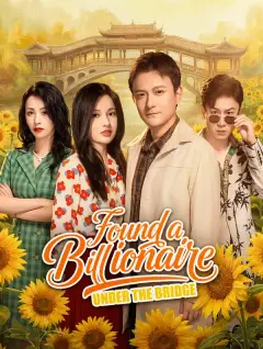 Found a Billionaire Under the Bridge poster