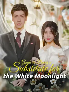Guide to Being a Substitute for the White Moonlight poster