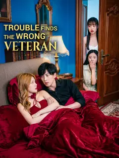 Trouble Finds the Wrong Veteran poster
