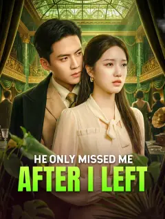 He Only Missed Me After I Left poster