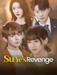 Su Ye's Revenge poster
