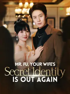 Mr. Fu, Your Wife's Secret Identity is Out Again poster