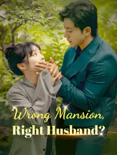 Wrong Mansion, Right Husband? poster