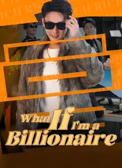 What If I'm a Billionaire? poster