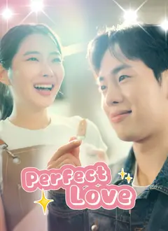 Perfect Love poster