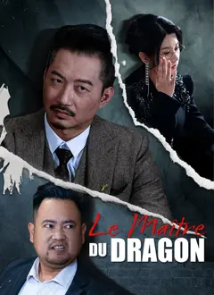 Le Maître du Dragon poster
