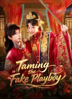 Taming the Fake Playboy poster