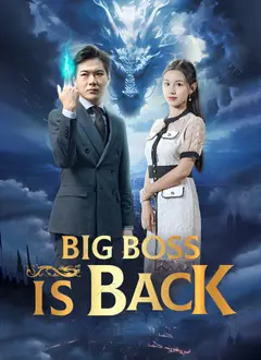 Big Boss Is Back poster