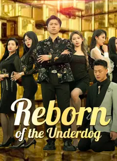 Reborn of the Underdog poster